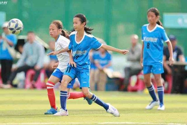 龙八唯一企业服务展示